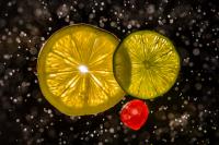 Citrus Constellation�